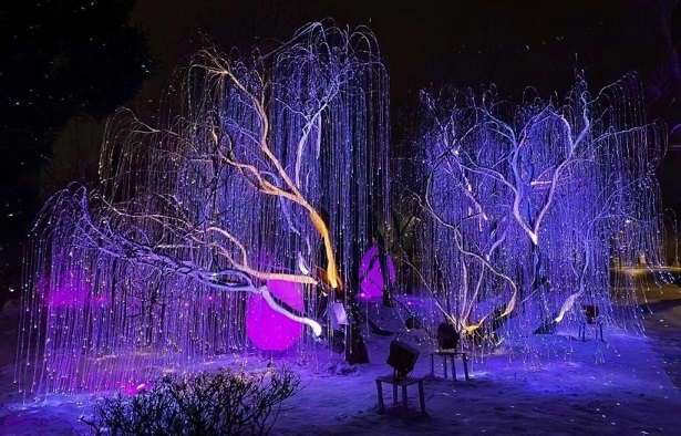 What Are LED Fiber Optic Lights?